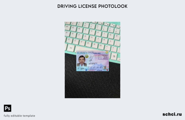 цифровая загрузка США, Айдахо, шаблон DL Photolook FRONT